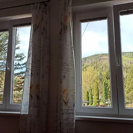 Apartmán 3+1 S Krbem A Zahrádkou Na úpatí Krušných Hor *