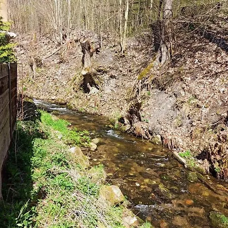 Apartmán 3+1 S Krbem A Zahrádkou Na úpatí Krušných Hor Merklín