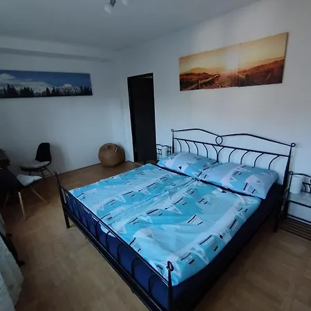 Apartmán 3+1 S Krbem A Zahrádkou Na úpatí Krušných Hor Apartamento *