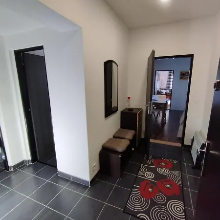 Apartmán 3+1 S Krbem A Zahrádkou Na úpatí Krušných Hor Merklín